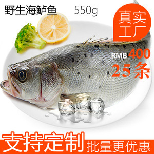 冷凍鱸魚市場分析 價格、圖片、批發(fā)采購及供應商渠道